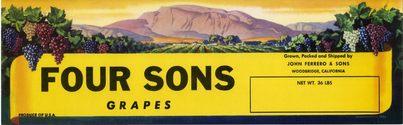 Four Sons Four Sons